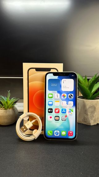 iPhone 12 100% Batteria