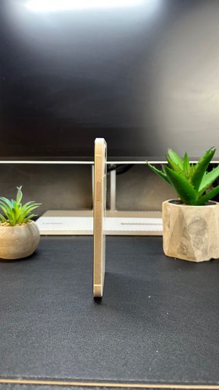 iPhone 12 100% Batteria