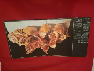 Vinilo Granada - Hablo de una Tierra