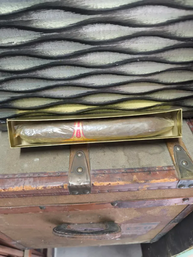 Antigo Puro Regalia Salon Colecionador