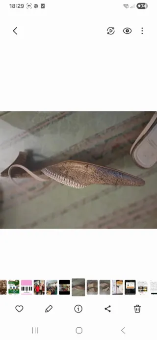 Zapatos destalonados piel beige/dorado