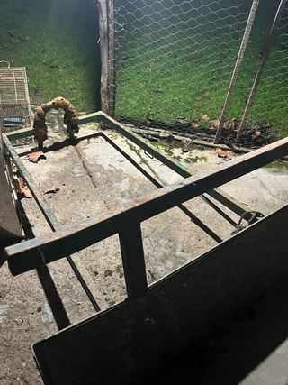 Carro de burro metálico