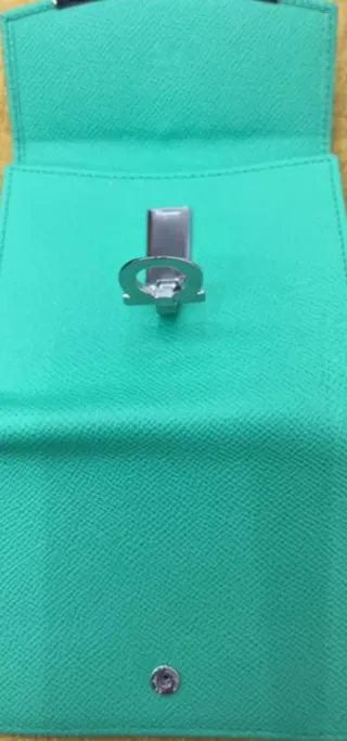 Portafoglio Salvatore Ferragamo Verde Argento