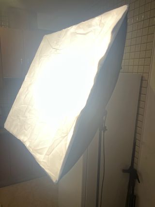 Focos de fotografía Neewer