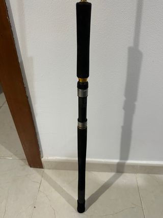 Caña Pioneer Ultimate Jig 30-50 lbs