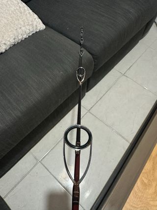 Caña Pioneer Ultimate Jig 30-50 lbs