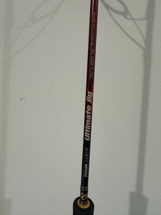 Caña Pioneer Ultimate Jig 30-50 lbs