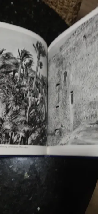 Memoria Gráfica de la Ciudad (2). ELCHE 1931,