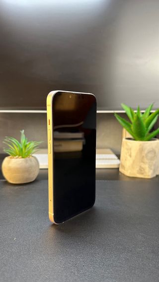 iPhone 13 100% Batteria