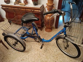 Triciclo azul con cesta