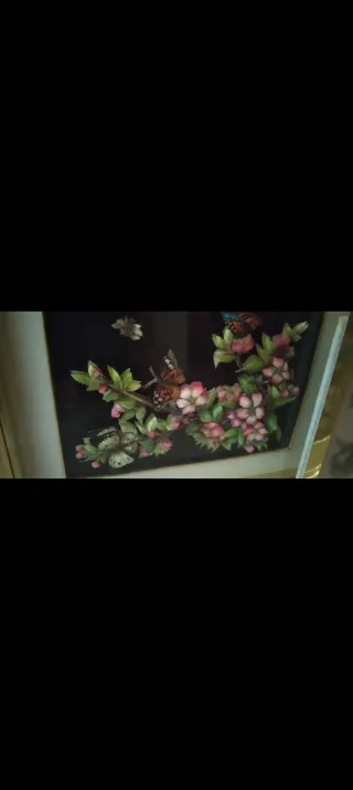 Cuadros decorativos mariposas y flores