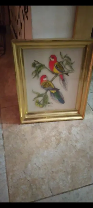 Cuadros decorativos mariposas y flores