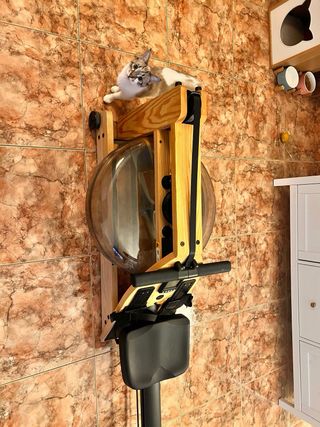 Remo Waterrower A1 Roble