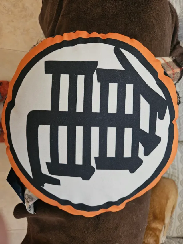 Cuscino Dragon Ball Super