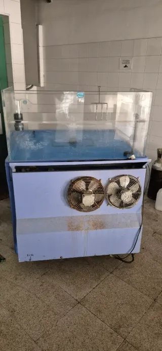 Cetárea para mariscos