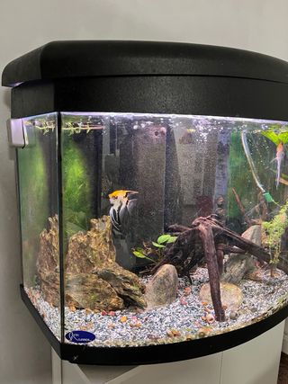 Acuario 160L
