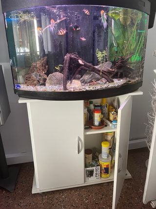 Acuario 160L
