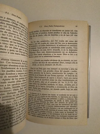Catecismo católico para adultos la fe de la iglesi