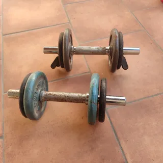Manubri e dischi da pesi