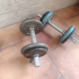 Manubri e dischi da pesi