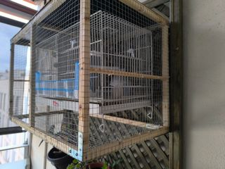 Cubierta/ Reja Protección Jaula Pedrós 60