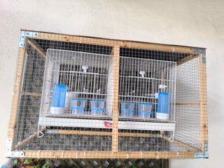 Cubierta/ Reja Protección Jaula Pedrós 60