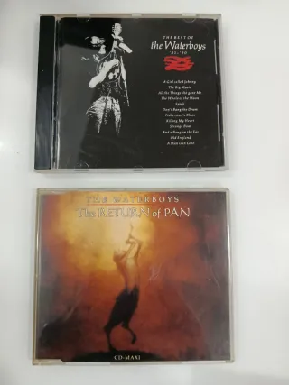 2 The Waterboys CD CDs ELIGE