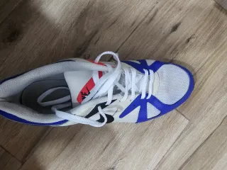 Zapatillas Nike Azules y Blancas