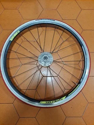 Rodillo Tacx y Rueda Trasera