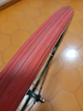 Rodillo Tacx y Rueda Trasera