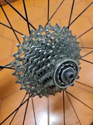 Rodillo Tacx y Rueda Trasera