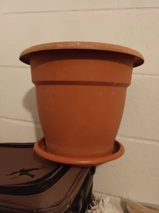 Maceta de plástico marrón