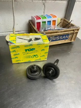 Desarrollos Minarelli Horizontal