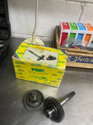 Desarrollos Minarelli Horizontal