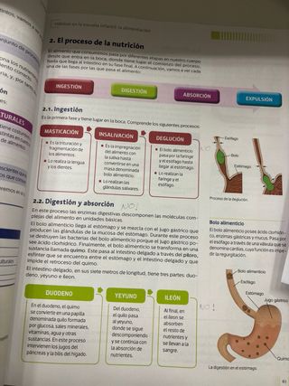 Autonomía personal y salud infantil.