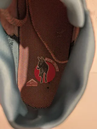 Nike Pegasus Trail 5 GORE-TEX Talla 40