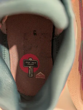 Nike Pegasus Trail 5 GORE-TEX Talla 40