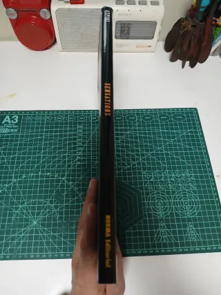 Sensations el arte de Azpiri