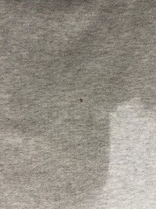 Sudadera Polo Ralph Lauren Gris Cremallera