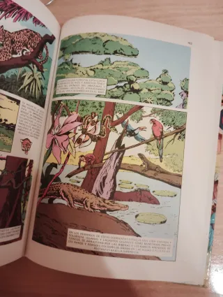 Lote dos comics tapa dura de Walt Disney películas