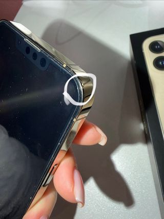 iPhone 13 Pro Oro/Argento