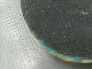 Tabla de skate Wasted Paris