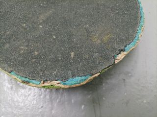 Tabla de skate Wasted Paris