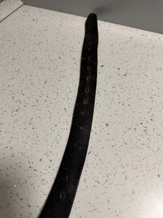 Cintura Calvin Klein vera pelle cuoio uomo 132 cm.