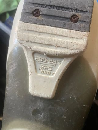 Botas de esquí Nordica