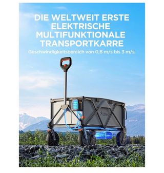 Carro Eléctrico Plegable Litheli 60kg