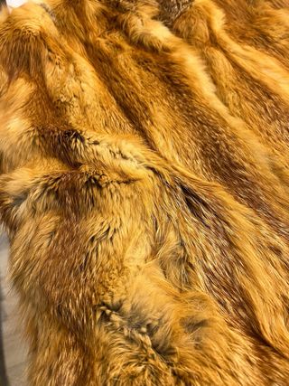 Chaleco de zorro canadiense vintage único.