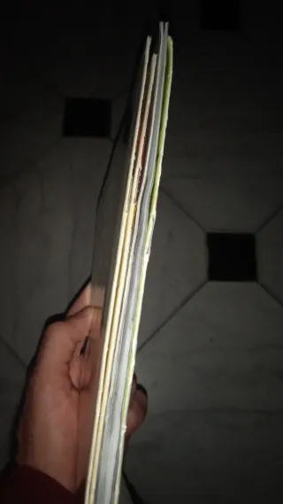 Cuatro mangas para adultos