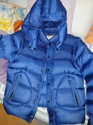 Plumifero Denham Azul