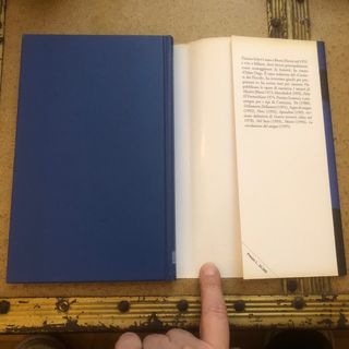 Le etichette delle camicie (Narratori Giunti) (...